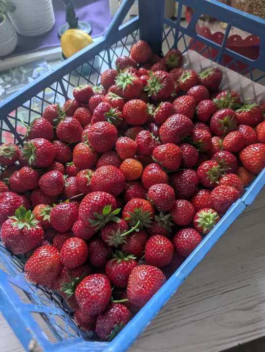 🍓 Полуниця «Мохіто» на зиму (з цілими ягодами) - Крок 1