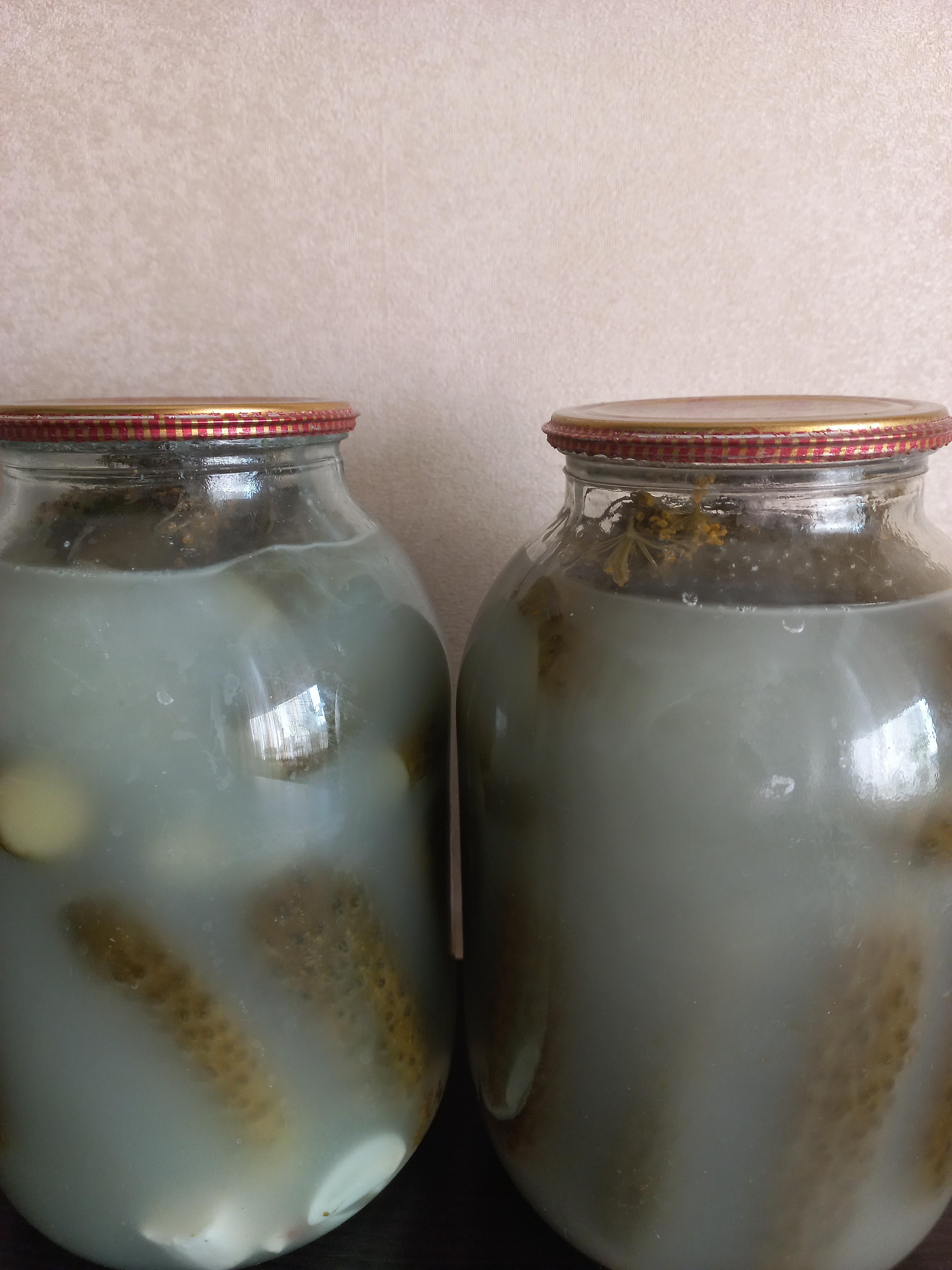 Квашені огірки