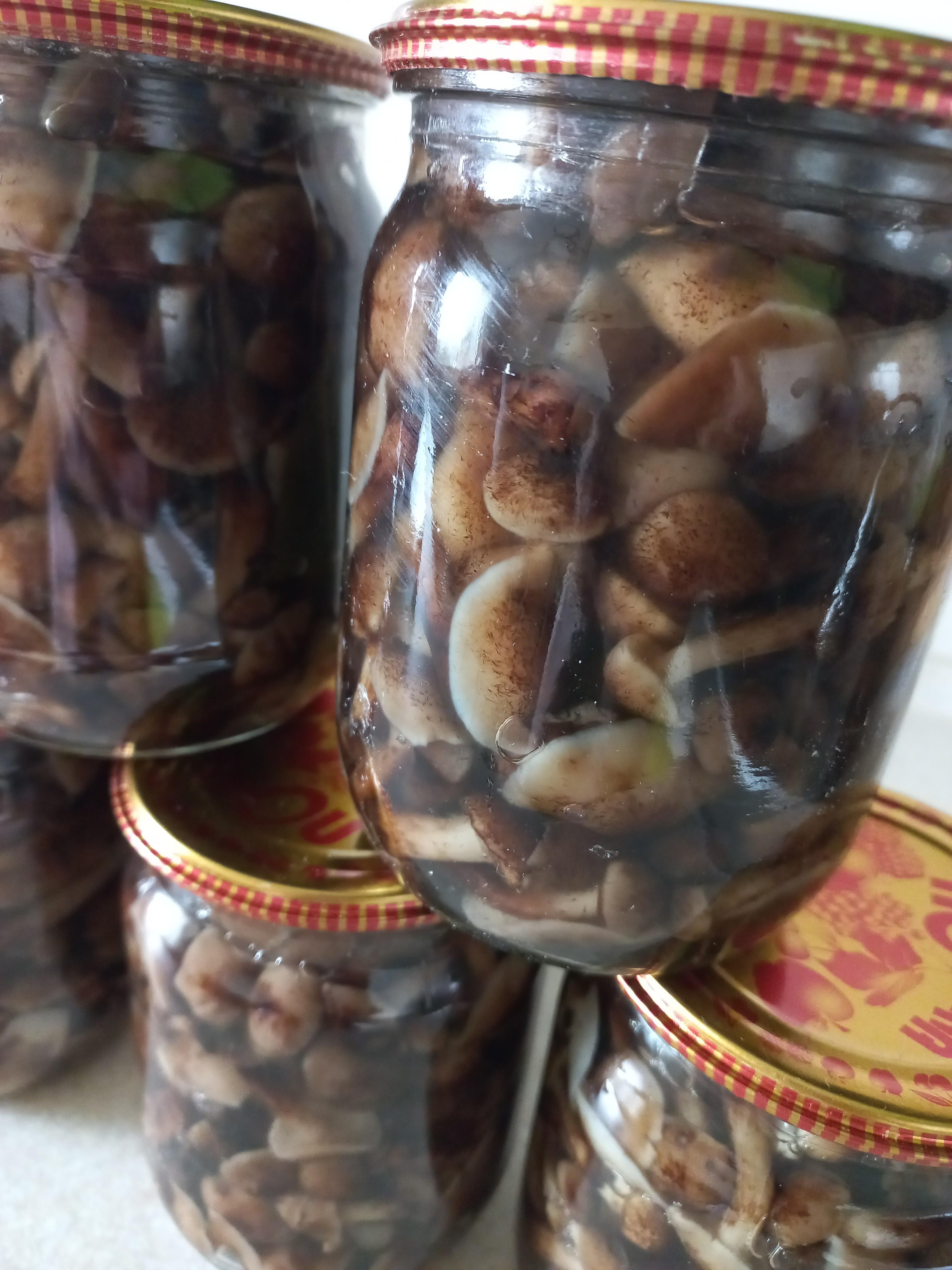 Мариновані опеньки