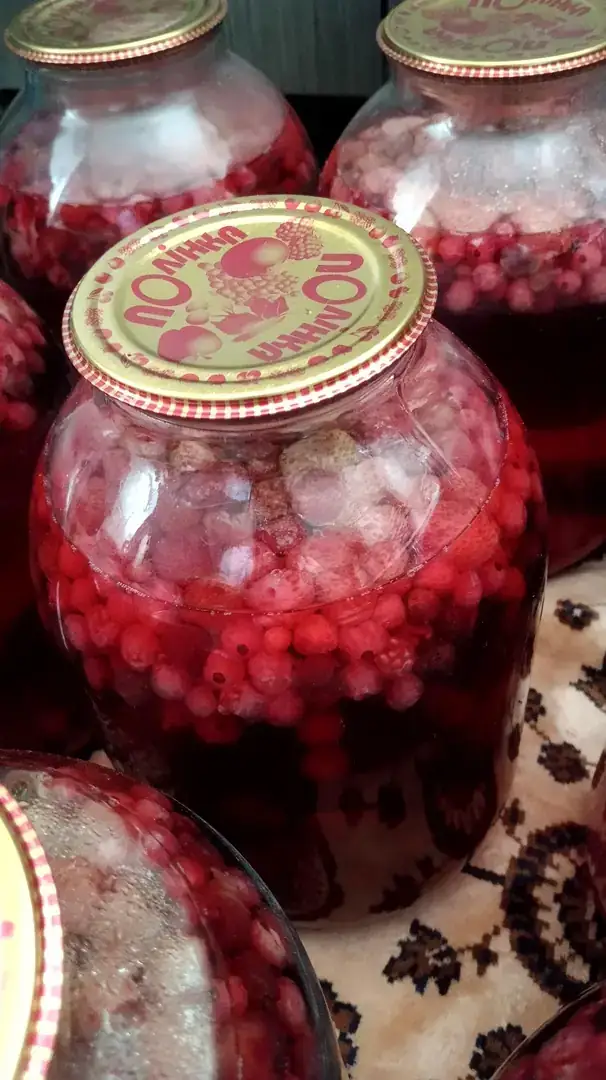 Компот асорті